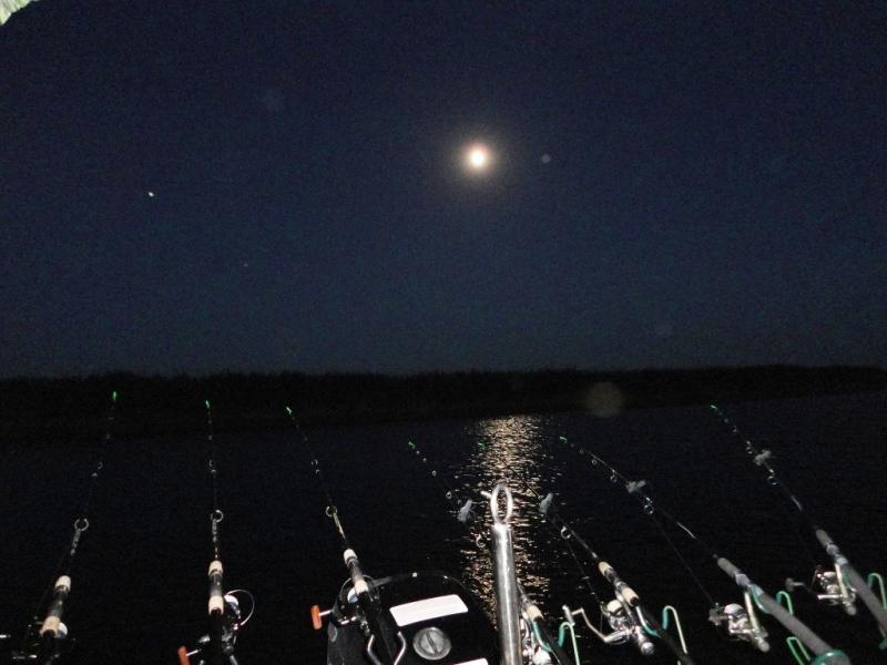 Delta iunie 2013 - dsc09903.JPG